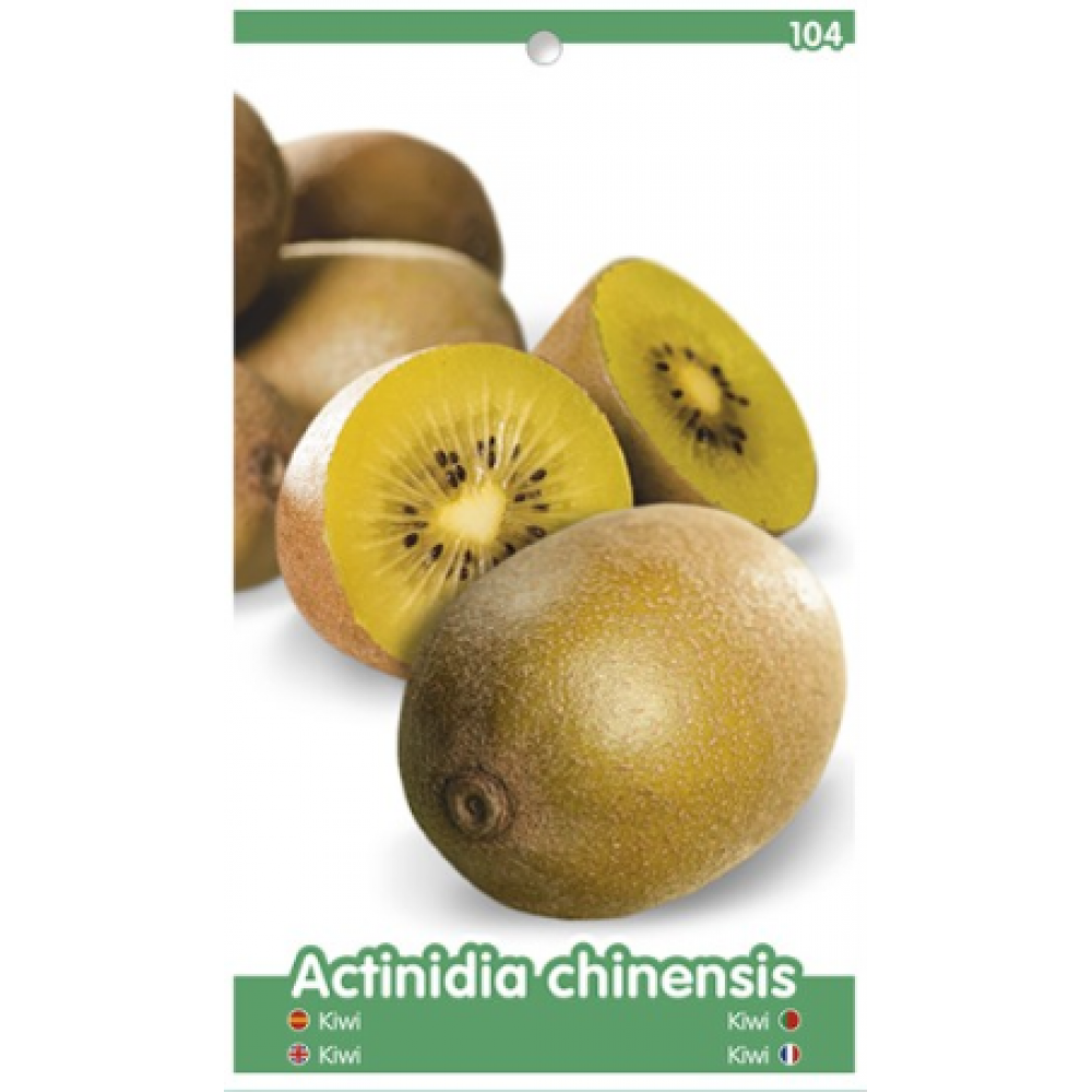 S.ARVORE FRUTO - KIWI POLINIZADOR