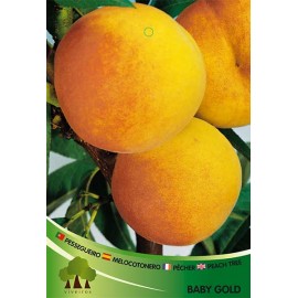 S.ARVORE FRUTO -PESSEGUEIRO EM VASO BABY GOLD