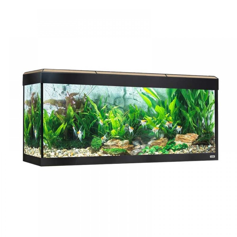 AQUARIO ROMA 240LT COM ILUMINAÇÃO LED BLUETOOTH CARVALHO + MESA EM CARVALHO