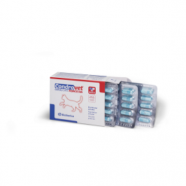 CONDROVET FORCE HA GATOS  45 COMP.
