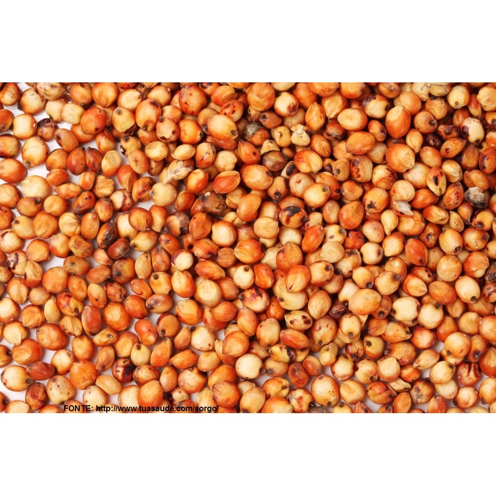 ALEIXO MASSAMBALA SORGO VERMELHO - 25 KG