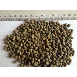 ALEIXO ERVILHACA  -   1 KG