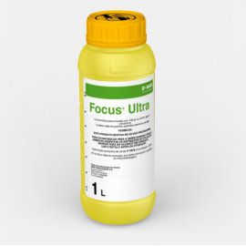 BASF FOCUS ULTRA AV 2978- 1 LITRO