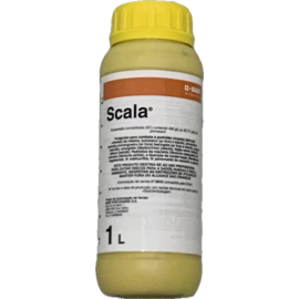 BASF SCALA AV 0642 - 1 LT