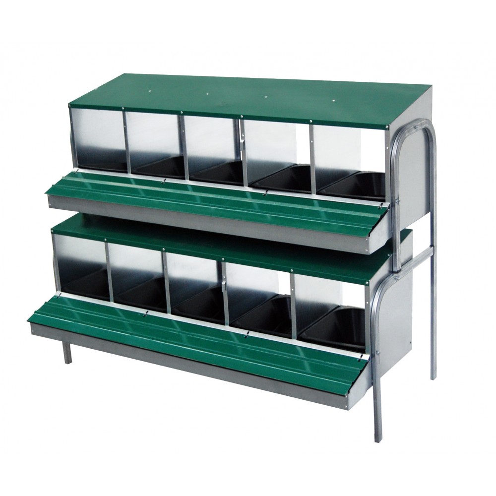 POEDEIRO AVES INDUSTRIAL 10 DIVISORIAS