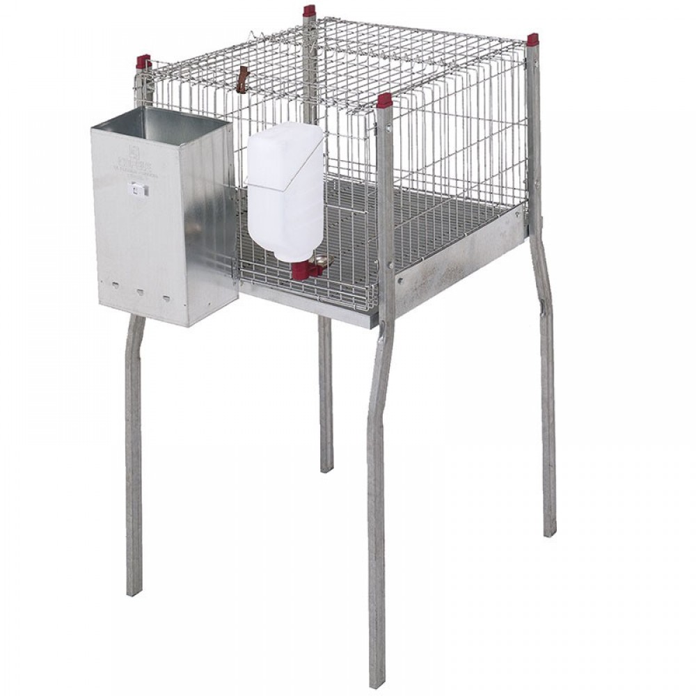 JAULA CO.COELHOS MILAO C/PATAS 1 PISO