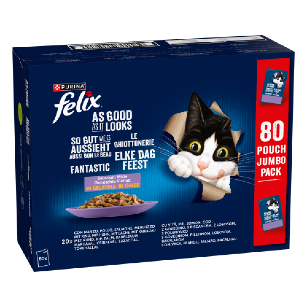 FELIX FANTASTIC MULTISABORES-  80X85GR ( PACK BIG )