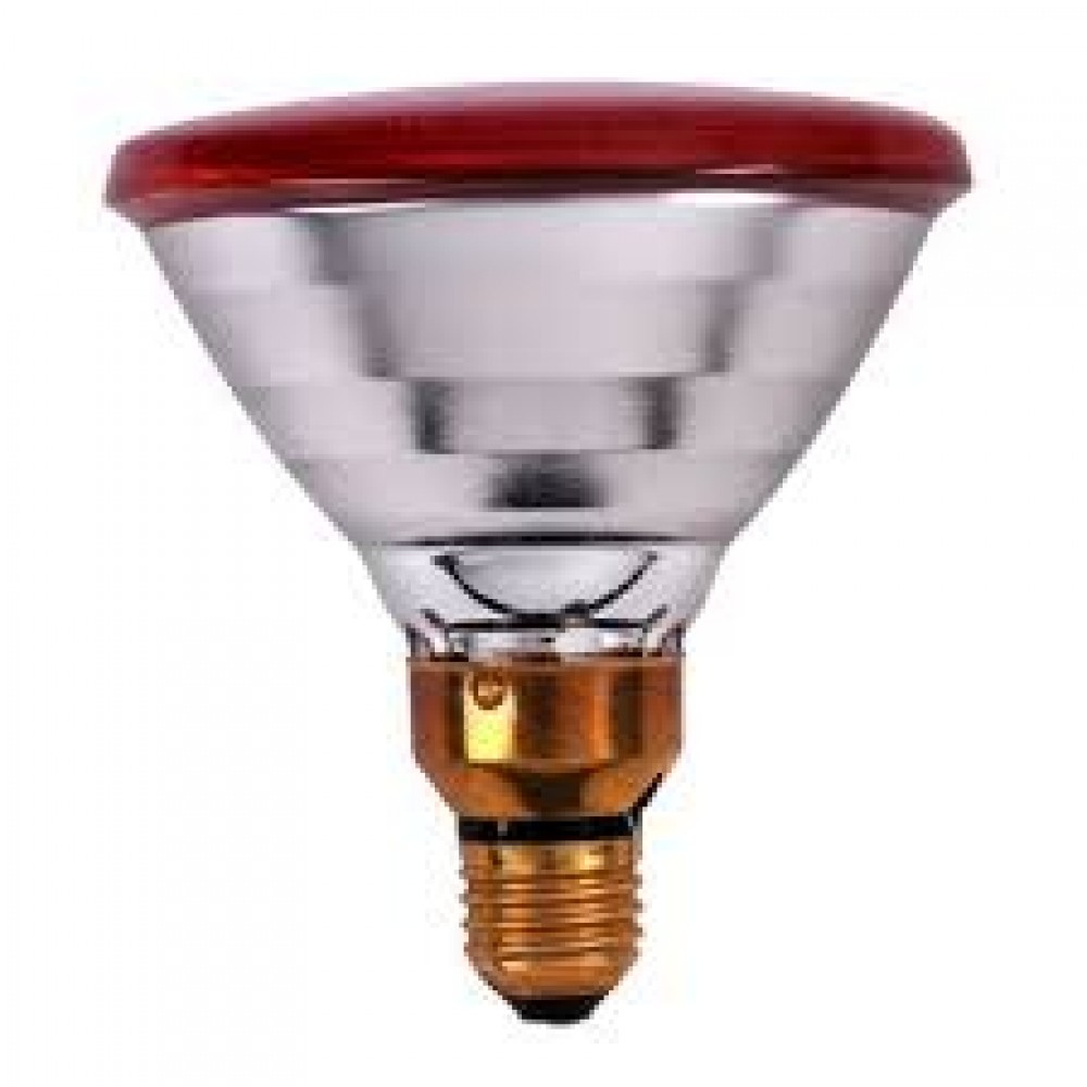 POWERHEAT LAMPADA DE AQUECIMENTO 175 WT