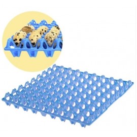 TABULEIRO DE PLASTICO P/72 OVOS CODORNIZ