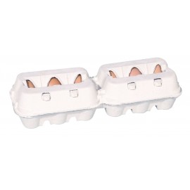 EMBALAGEM DE CARTAO P/TRANSPORTE 12 OVOS DE GALINHA
