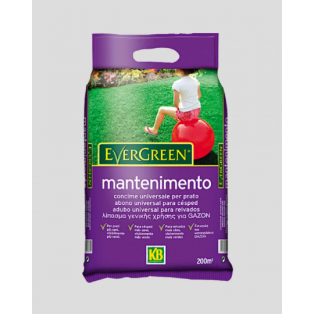 EVERGREEN ADUBO RELVADOS MANUTENÇAO PLUS - 4KG