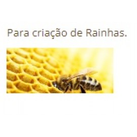 CONFORTEK INCUBADORA OSIRIS 120BEE - ESPECIAL ABELHAS