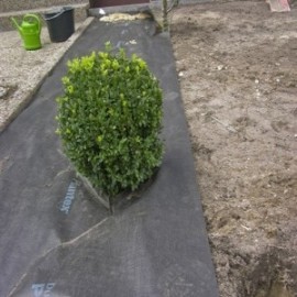 TELA PLANTEX PREMIUM PLUS WEEDMAX - ROLO 1,15X10M ( 125 G/M2)