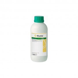 SYNGENTA ELUMIS AV 0569 - 1 LT