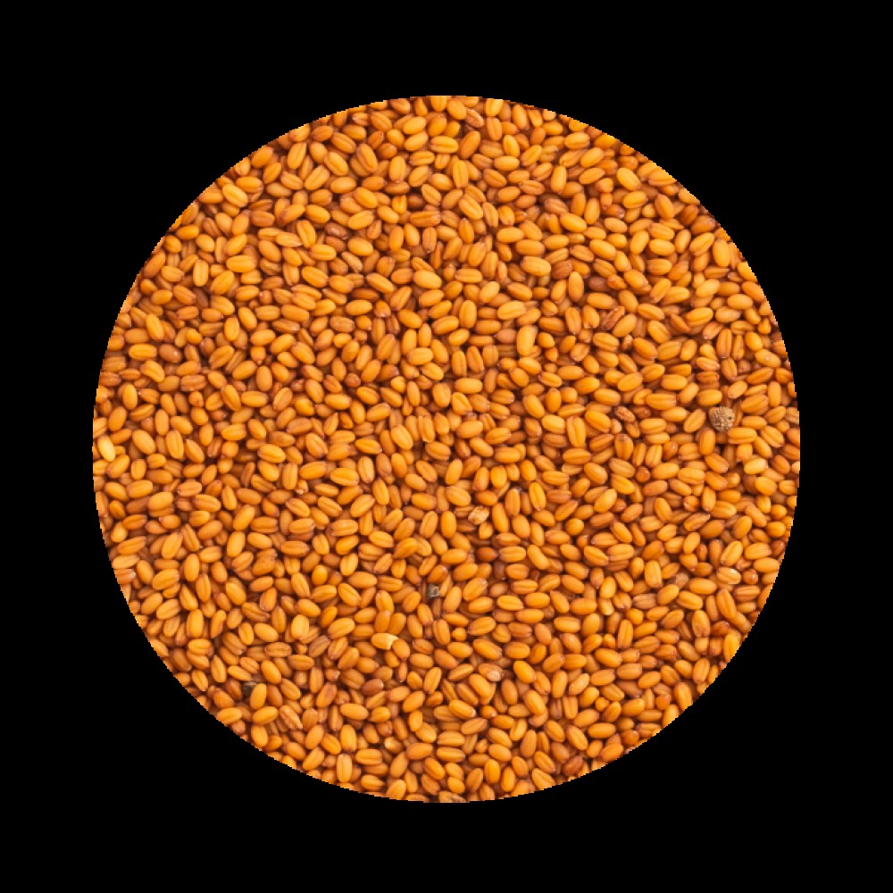 PETCUP CAMELINA  - 850 GR