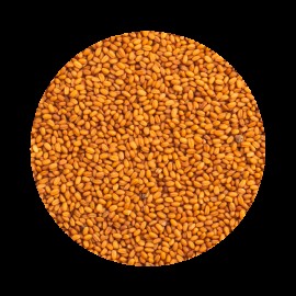 PETCUP CAMELINA  - 850 GR