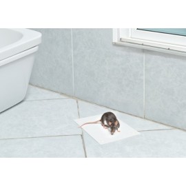 ROE-GLUE ARMADILHA ADESIVA PARA RATOS 3 UNIDADES