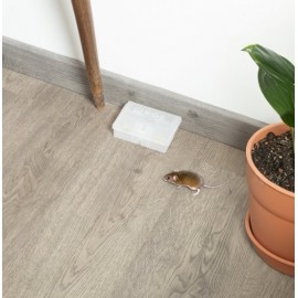 ROE PORTA-ISCOS DE SEGURANÇA PARA  RATOS