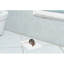 ROE-GLUE ARMADILHA ADESIVA PARA RATOS 6 UNIDADES