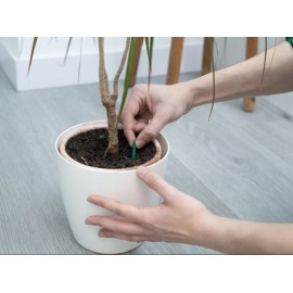 JARDIN BASTÕES DE FERTELIZANTE PLANTAS VERDES 25 UNIDADES