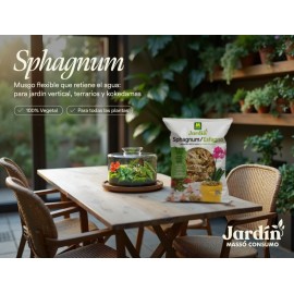 JARDIN ESFAGNO MUSGO 5L