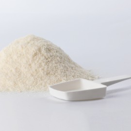 LACTOL LEITE P/CACHORROS - 500 GR