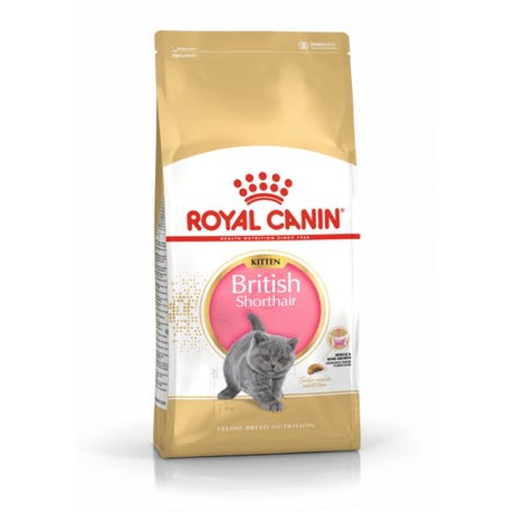 ROYAL CANIN KITTEN BRITISH SHORTHAIR  - 2KG
