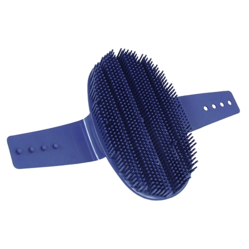 ESCOVA DE PLASTICO AZUL