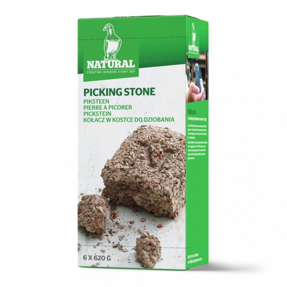NATURAL BLOCO SALGADO PACK 6