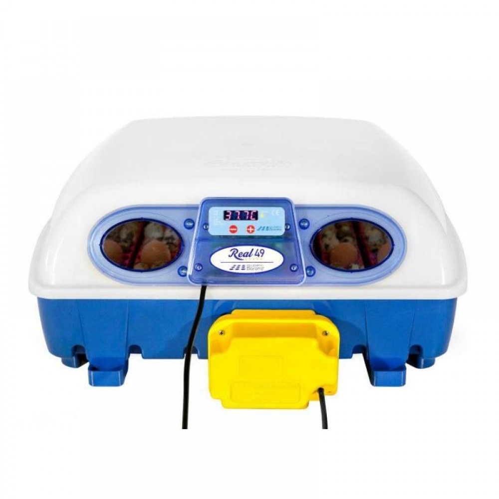 INCUBADORA REAL 49 OVOS AUTOMATICA