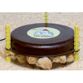AQUECEDOR  POLLIT NANNY-HEN USA 110V 18W
