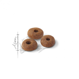ROYAL CANIN GATO FIT 32 - 400GR