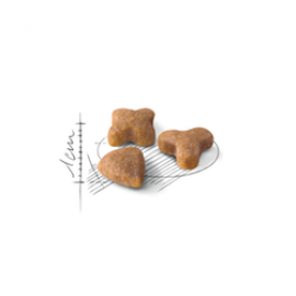 ROYAL CANIN GATO SENSIBLE 33 - 400GR