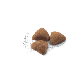 ROYAL CANIN GATO INDOOR 27 - 400GR