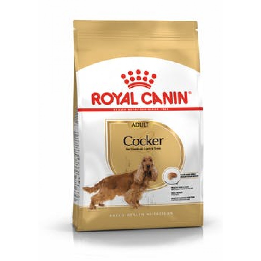 ROYAL CANIN CAO COCKER ADULT - 3 KG