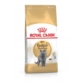 ROYAL CANIN GATO BRITISH SHORTHAIR - 10KG