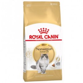 ROYAL CANIN GATO NORWEGIAN FOREST CAT - 10KG