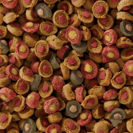 SERA KOI ALL SEASONS PROBIOTIC-  7KG