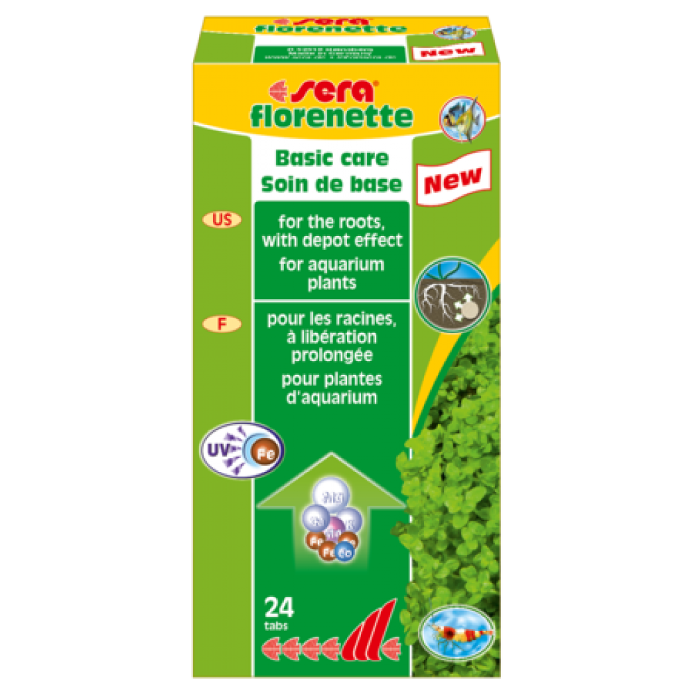 SERA FLORENETTE A