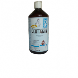 BACKS GLUT-AMIN 1000 ML