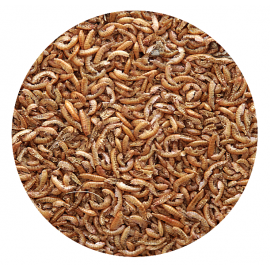 PETCUP GAMARUS P/TARTARUGAS 100 GR