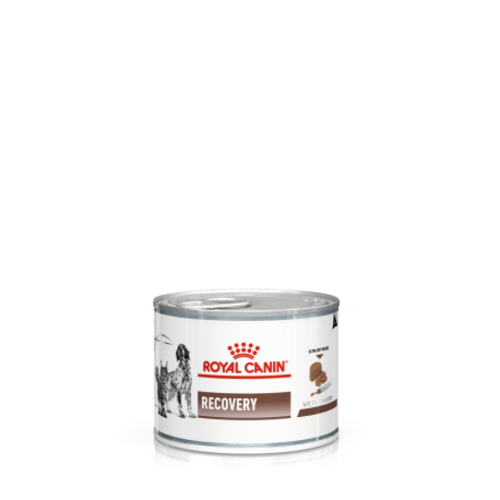 ROYAL CANIN VET  WET CAO/GATO RECOVERY  (12X195G)