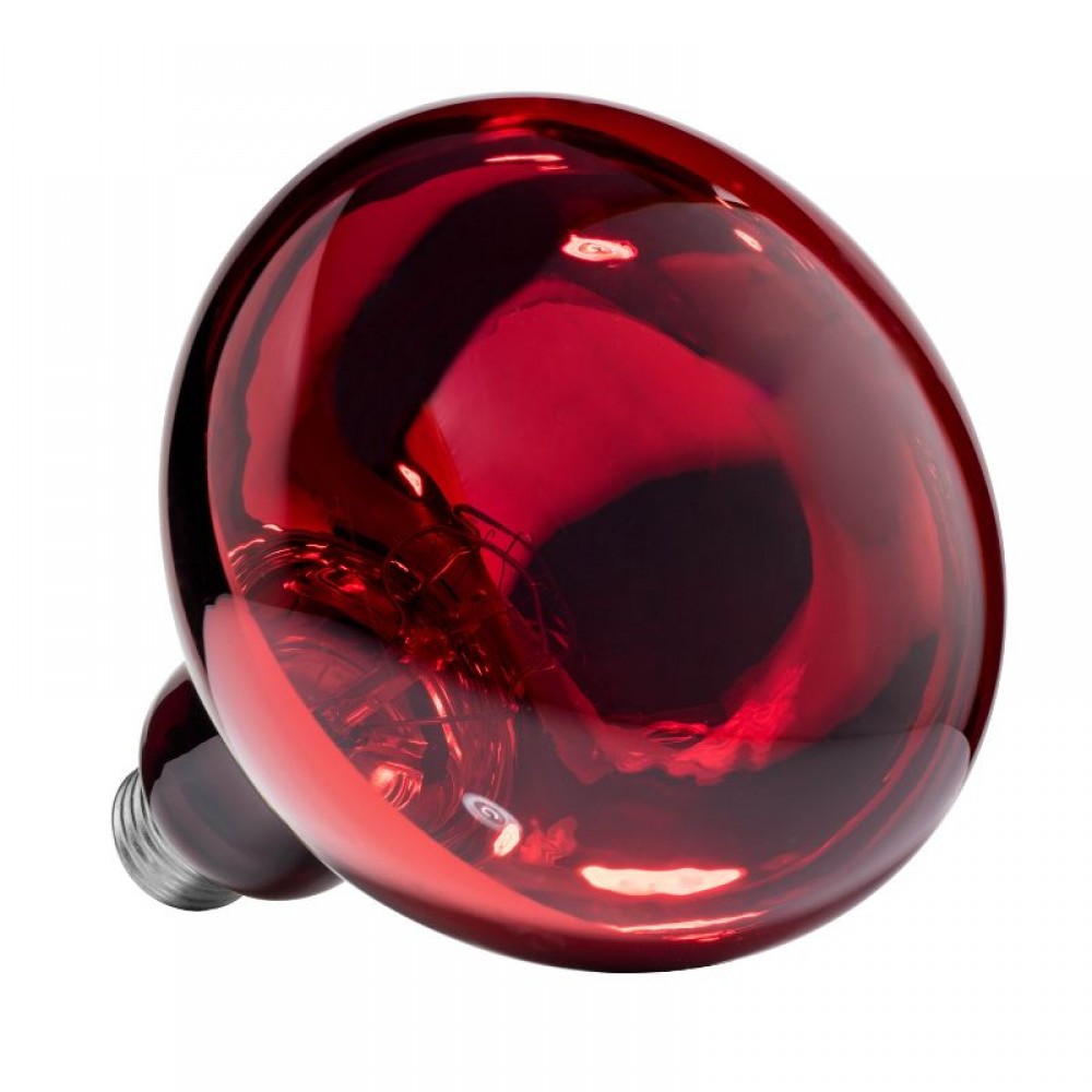 LAMPADA DE AQUECIMENTO 250 WT
