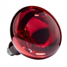 LAMPADA DE AQUECIMENTO 250 WT