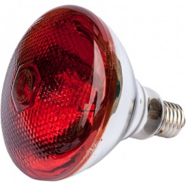 LAMPADA DE AQUECIMENTO IR PAR 100 WT