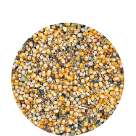 MARIMAN POMBOS STANDART SPORT CRIA - 25 KG