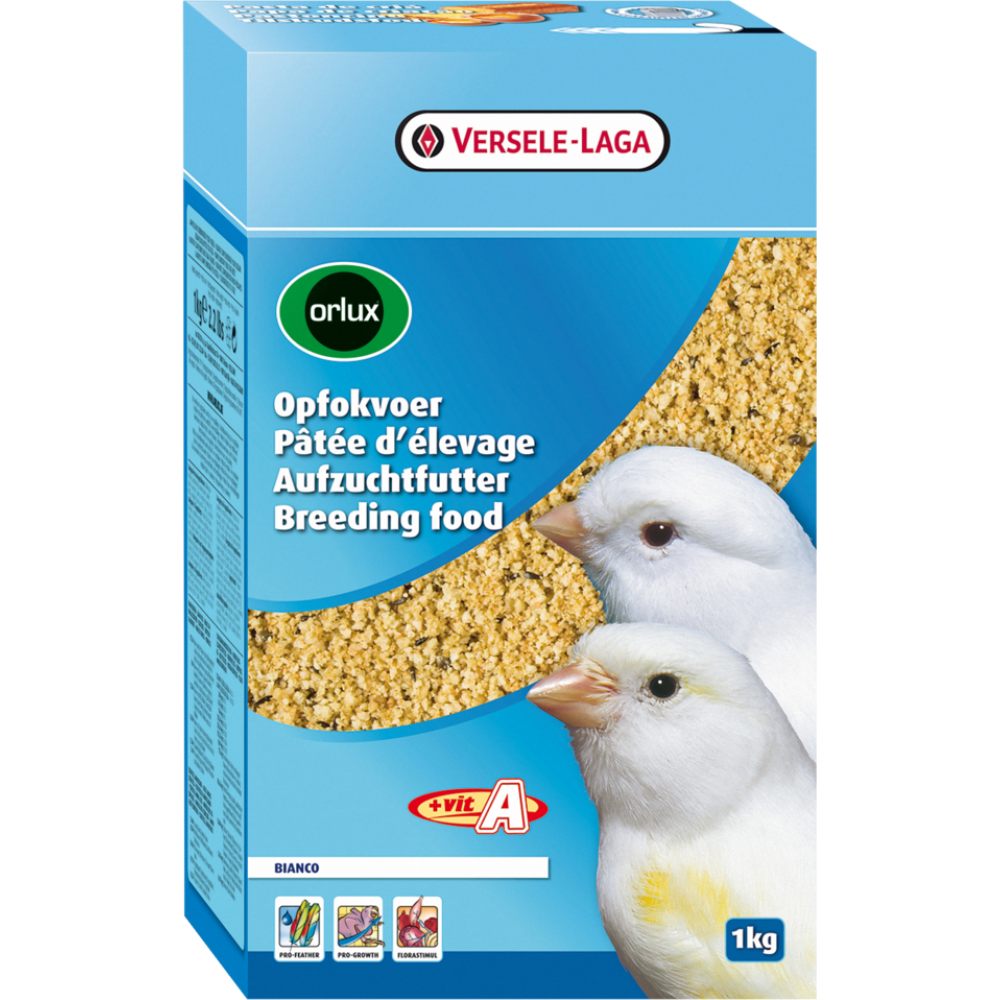 ORLUX PAPA BRANCA SECA 1 KG