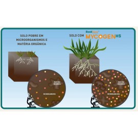 BOSKBEST MYCOGEN HS - 200 GRAMAS