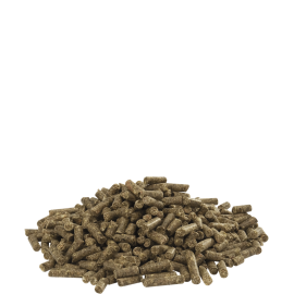 VERSELE LAGA COUNTRY´S BEST CUNI FIT PLUS - 20KG