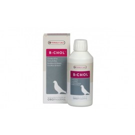 OROPHARMA B-CHOL 250 ML